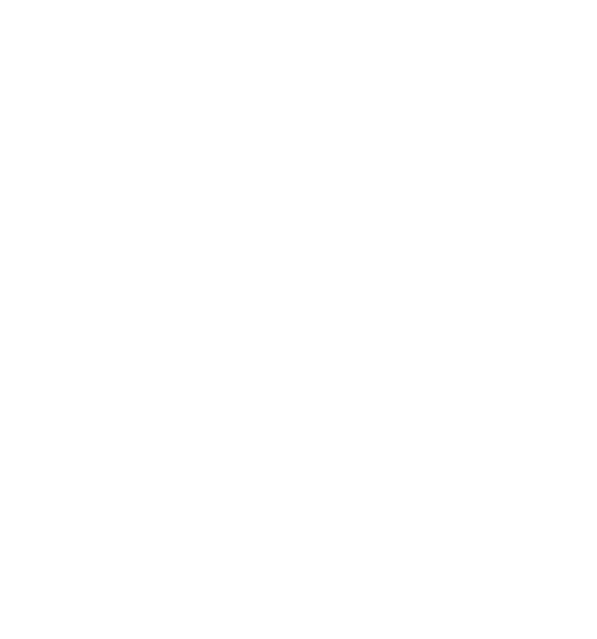 Profissas